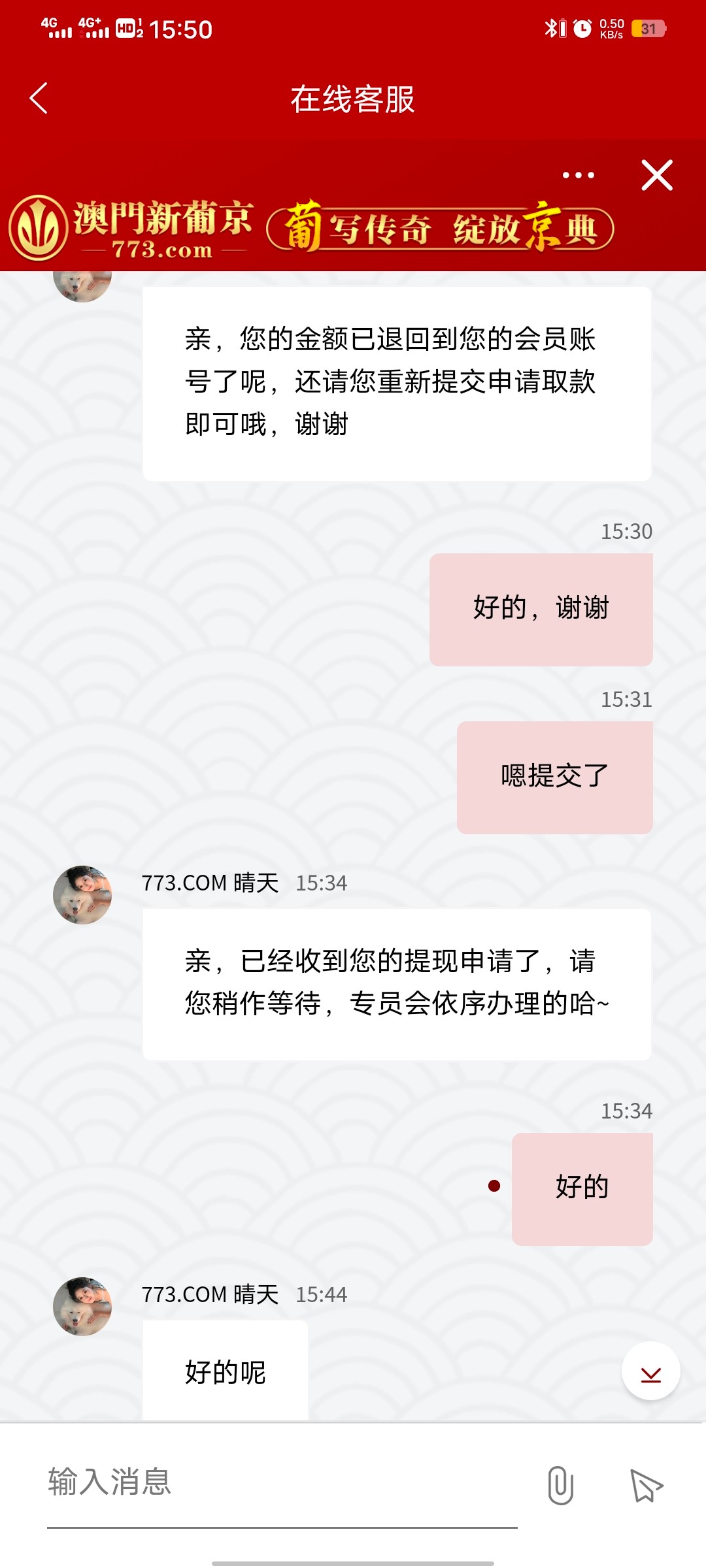 Screenshot_20240329_155057.jpg