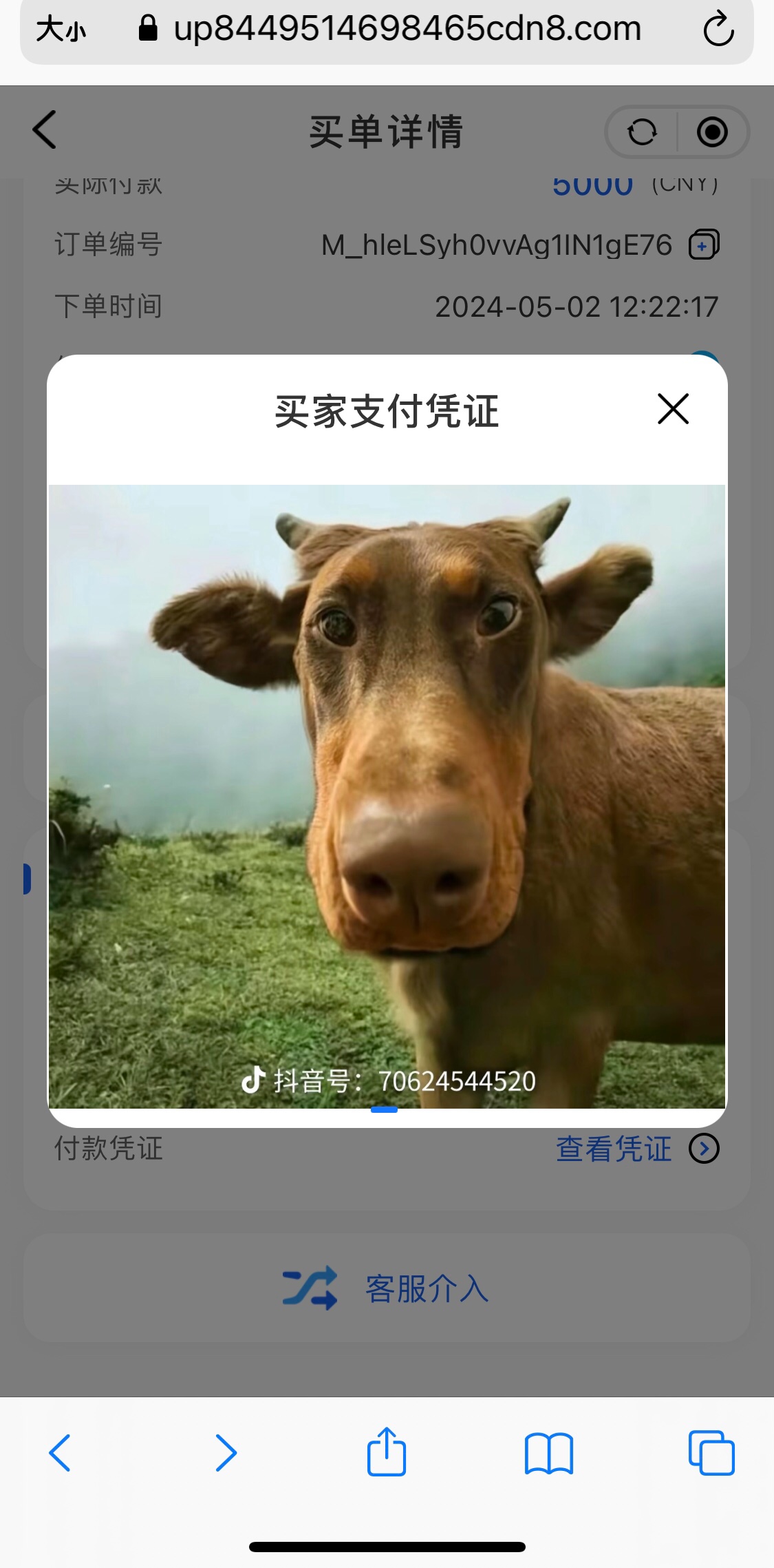 862AA07E-475D-4793-987A-545BA8D8CACF.jpeg